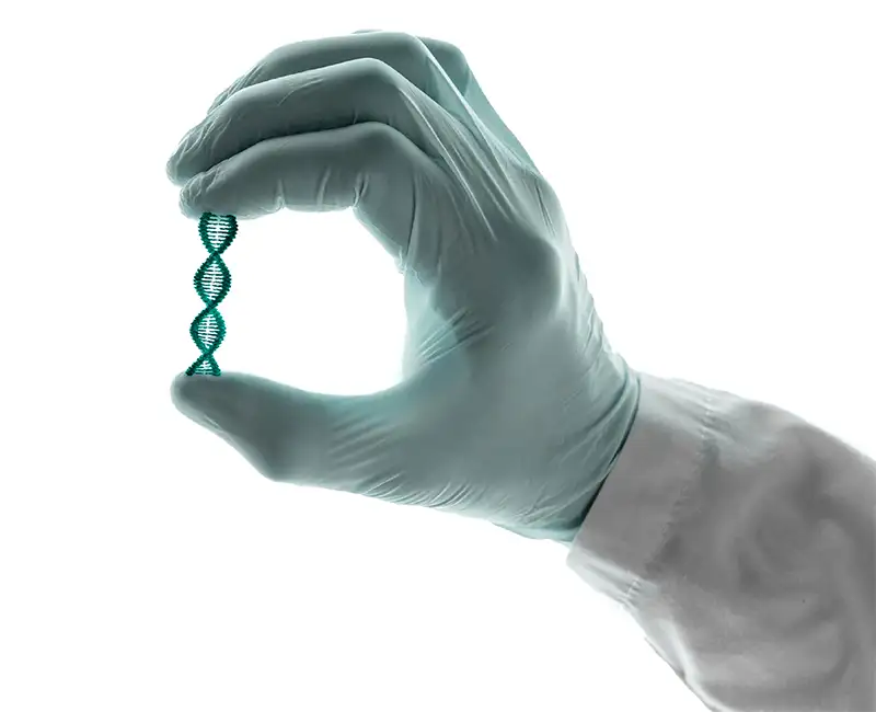 DNA Test At Home